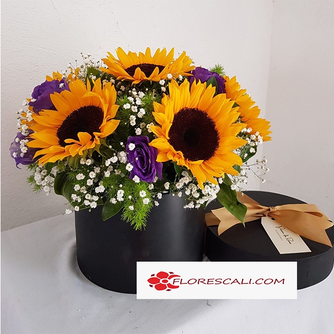 Rayo de sol Floristeria Cali