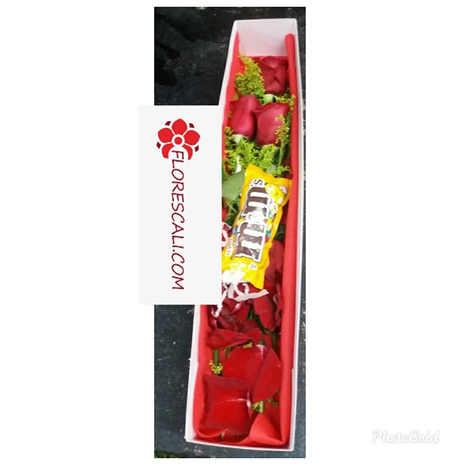 Rosas y chocolates en cali