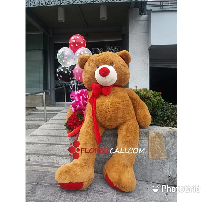 Oso de peluche grande Flores en cali