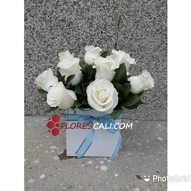 Cubo de rosas blancas