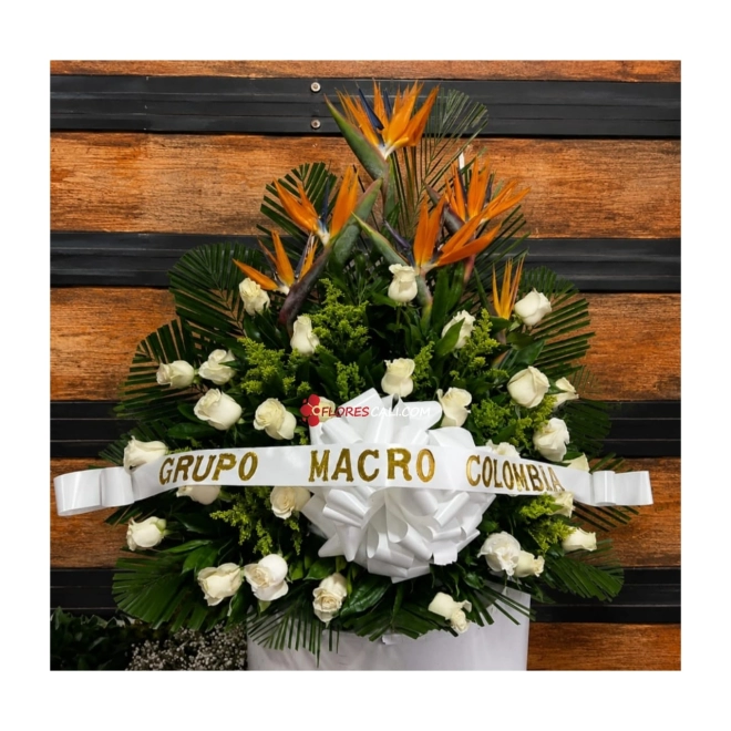 Abanico Funebre En Cali