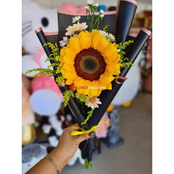 Girasol ternura en cali