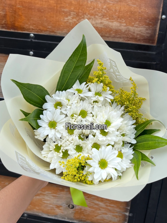 Bouquet de margaritas floristeria en cali