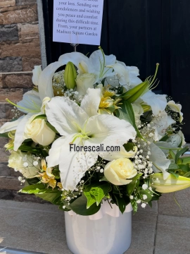 Cilindro de flores blancas para regalar