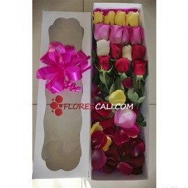 Caja de rosas flores cali día de la Madre 