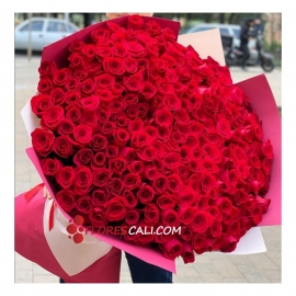 Bouquet de rosas imponente en cali