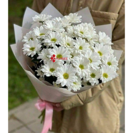 Bouquet de margatiras floristeria en cali