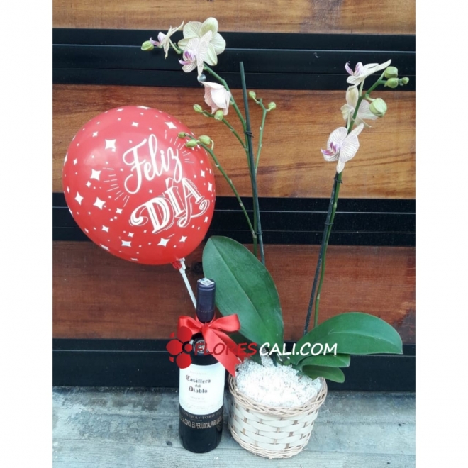 Orquídea en matera Flores cali