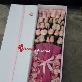 Caja x36 rosas Dia de la Madre 